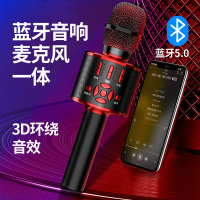音箱儿童k歌家用电视卡拉台式电脑手机带支架音响一体ok自带蓝牙话筒麦克风无线全民唱歌麦克风神器连接
