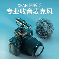 收音器电容vlog收音麦相机/阿斯泛配音设备单反微单电脑手机话筒降噪小蜜蜂指向性d1专业麦克风录音