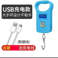 迷你手提称重器电子秤便携式家用厨房弹簧秤高精度可选充电快递称|充电款大提环蓝收藏送数据线