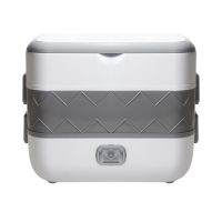 便当电热加热保温饭盒可插电便携带饭神器菜蒸煮保温桶上班族饭煲|双层【无赠品】