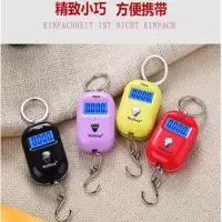 特价手提秤手持电子称精度50kg称弹簧秤家用厨房称迷你快递勾秤|25公斤吊钩称