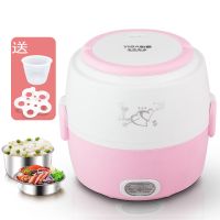 电热饭盒保温可插电加热自热蒸饭菜热饭神器锅带上班族便携1-2人|粉红色双层
