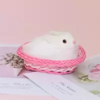 会叫仿真小猫咪毛绒仿真狗仿真兔筐子小猫仿真动物模型玩偶|[不叫]带筐单只小兔