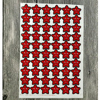 儿童奖励贴纸笑脸贴纸幼儿园奖励贴纸表扬贴红星星大苹果动物|大星星100张