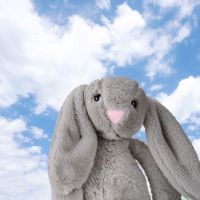 邦尼兔毛绒玩具布娃娃公仔玩偶可爱少女心ins生日礼物女生女孩男