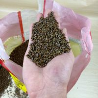 新货决明子玩具沙斤枕芯散装儿童家用沙滩玩挖沙围栏沙池套装