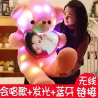 泰迪熊熊猫抱枕公仔抱抱熊毛具玩偶布娃娃生日礼物送女生朋友