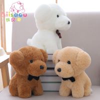 毛具狗可爱小泰迪狗布娃娃公仔玩偶儿童生日礼物送女生