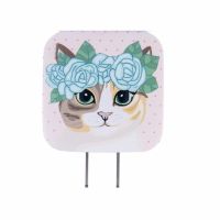 充款卡通头a智能闪手机充电器2.1充电器|C款充电器