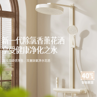 惠达(HUIDA)花洒套装家用卫生间香薰除氯超大置物钢琴键精铜主体增压花洒 DW18数显大置物