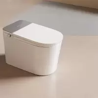 惠达(HUIDA)-ET101 前置妇洗全智能马桶清洗加热烘干一体带水箱免触翻盖魔力泡座便器 贵妃浴前妇洗