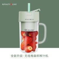 瑞士罗娅便携式梅森杯榨汁机家用小型无线充电动迷你果汁机榨汁杯|北欧绿（赠吸管）