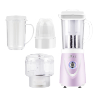 豆浆机家用小型免过滤破壁机全自动免煮多功能大容量单1-2人|熏衣紫（豪华配置）