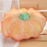 仿真抖音同款玩具蔬菜毛绒黄瓜南瓜苦瓜抱枕公仔创意零食韩国搞|南瓜 长约55厘米