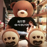 泰迪熊抱抱狗熊公仔毛绒玩具布娃娃可爱女孩超大号情人节生|棕色脚掌穿衣(我只想做你的太阳) 全长1.8米送小熊+代写贺卡