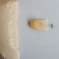 水晶树脂黏土超轻粘土500克免烤软陶泥手工花艺多肉透明100克食玩|肤色 100g