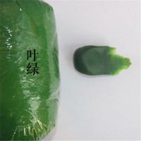 水晶树脂黏土超轻粘土500克免烤软陶泥手工花艺多肉透明100克食玩|叶绿色 100g