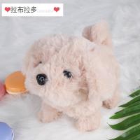 儿童玩具狗狗电动仿真毛绒会动的电子小狗会走路会叫的宠物狗女|普通版金毛(A款) 充电套餐(充电电池+充电器+螺丝刀)
