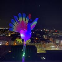 新品玩具七彩发光音乐蝴蝶儿童玩具仿真经典蝴蝶摆摊热卖玩具|三档发光[孔雀]颜色混发 10个送电池