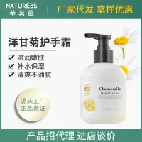 250 洋甘菊香氛香水防干裂护手霜滋润补水保湿手霜凡士林润肤霜