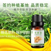 生姜精油刮痧按摩精油护肤护发精油植物萃取单方精油