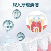 60 南京乐家老铺炫亮洁牙慕斯防蛀去牙渍口气清新牙膏