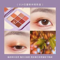 扭扭气球九影盘微光哑光珠光大地色可可妆南瓜影