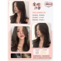 []植物染发膏 潮色可盖白发流行泡泡彩色染发剂