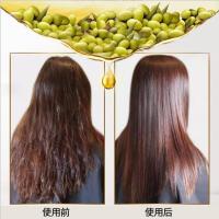 50 []坚果护发精油修复头发干枯毛躁受损烫染免洗护发素免