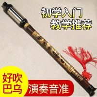 竖吹紫竹巴乌乐器g调f调成人儿童学生初学入门吹奏民族管乐器厂家