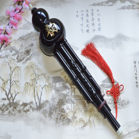 葫芦丝乐器c调降b调儿童初学者入门成人中小学生零基础自学胡芦丝