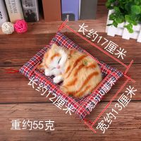 仿真小猫咪 可爱布娃娃公仔 儿童毛具女孩玩偶 生日礼物女生