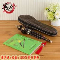 宾力葫芦丝乐器初学降b调成人葫芦丝c调初学儿童自学入门乐器