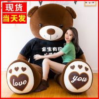 泰迪熊大熊玩偶大号娃娃抱枕毛具公仔布娃娃可爱生日礼物女生