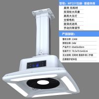 棋室馆空气净化器麻将馆房机桌吸顶吸烟灯家用吊灯排抽烟机升降|T-WP25Y白色管道外排-