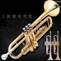 专业小号乐器]初学者演奏级 儿童成人教会降b调三音考级西洋乐器