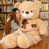 泰迪熊公仔毛具熊猫可爱生日礼物玩偶女生床上睡觉抱枕布娃娃