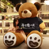 泰迪熊公仔玩偶熊猫布娃娃床上毛具儿童生日礼物抱枕女生可爱
