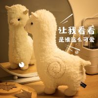 大号可爱毛具羊驼公仔睡觉抱枕儿童布娃娃女孩生日礼物