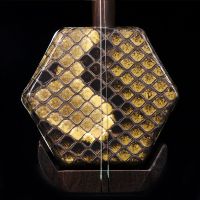 苏州黑檀二胡考级初学硬木成人儿童学生老年人大音量胡琴演奏乐器