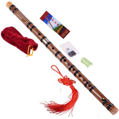 二节笛子横笛儿童成人自学苦竹横笛入门古风民族吹奏乐器初学竹笛