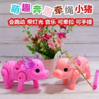 网红牵绳会跑的电动小猪发光音乐走路儿童宝宝玩具小女孩抖音|花灯猪猪(颜色随机)一只装 充电版[一排充电电池和充电器]