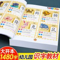 儿童学前识字大王儿童书3-6岁大班幼儿园认字早教图书识字卡片