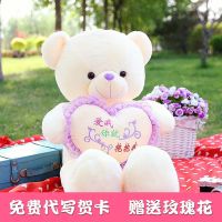 泰迪熊毛具熊公仔大熊猫生日礼物送女友可爱布娃娃女孩