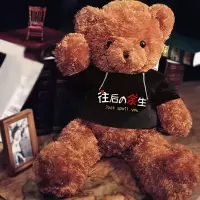 泰迪熊公仔毛具娃娃1.6米大熊猫抱枕女生日礼物送女友