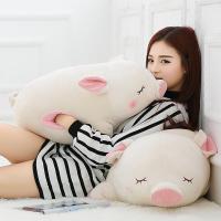 可爱猪公仔玩偶睡觉暖手抱枕插手手捂毛具圣诞礼物女生