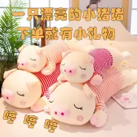 小猪猪玩偶毛具抱枕猪公仔女孩娃娃生日礼物送女生孩子软体猪