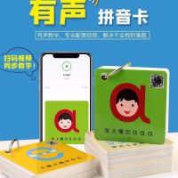 幼儿园数学早教识数玩具3-6岁宝宝识字卡0-100儿童数字卡片|拼音63张卡片