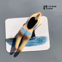 丑萌搞怪磁性贴 芭蕾舞男小丑冰箱贴 磁贴 面膜女孩冰箱装饰贴|蓝色游泳女