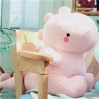 恐龙玩偶公仔女生毛具少女心布娃娃女孩可爱抱枕生日礼物闺蜜